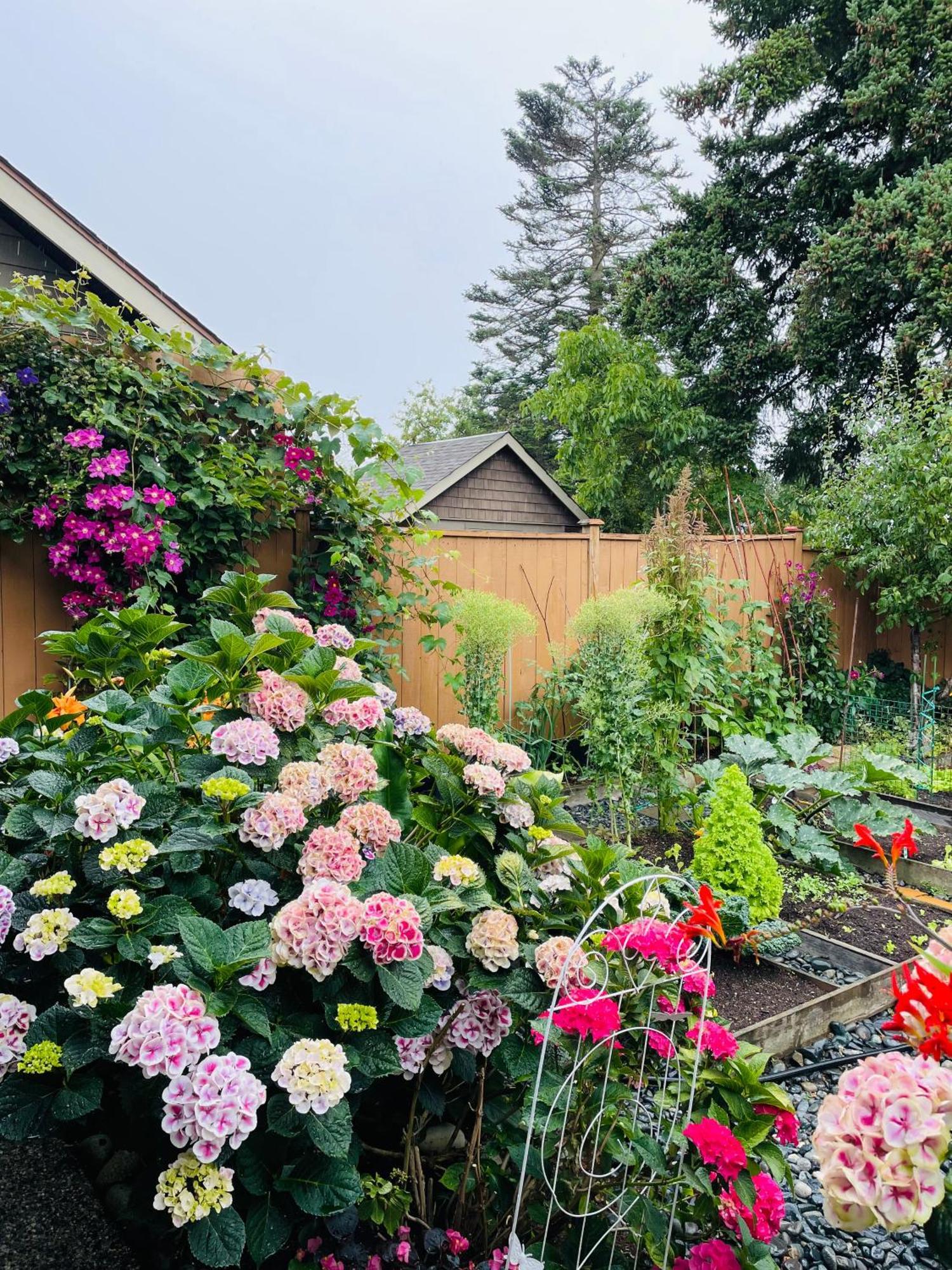 Garden Home In Victoria -Beautiful Home In Victoria Eksteriør billede